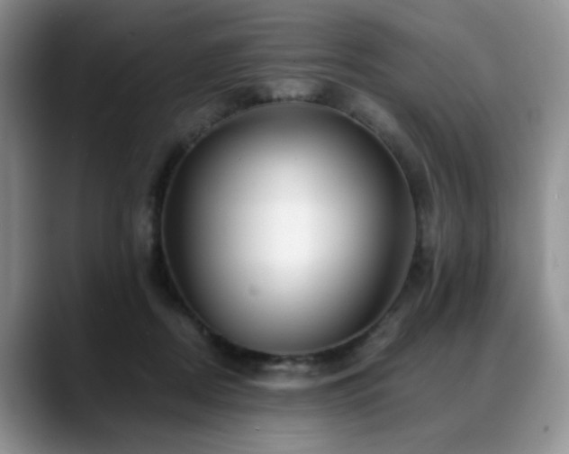 X0000088890362200706081252