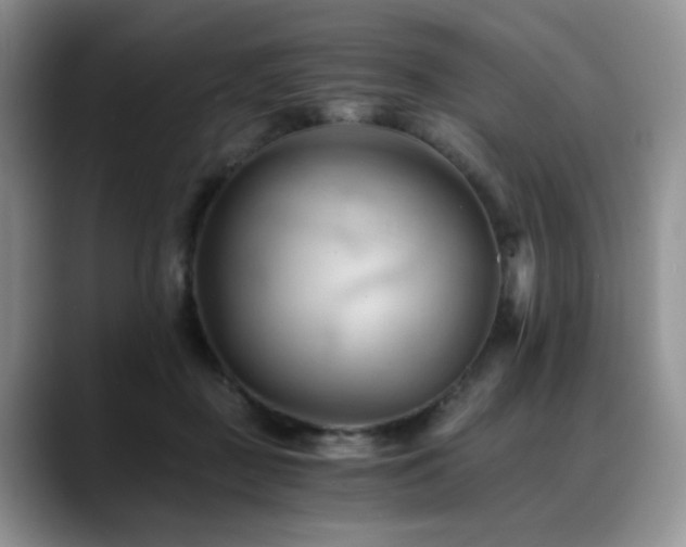 X0000088890363200706081252