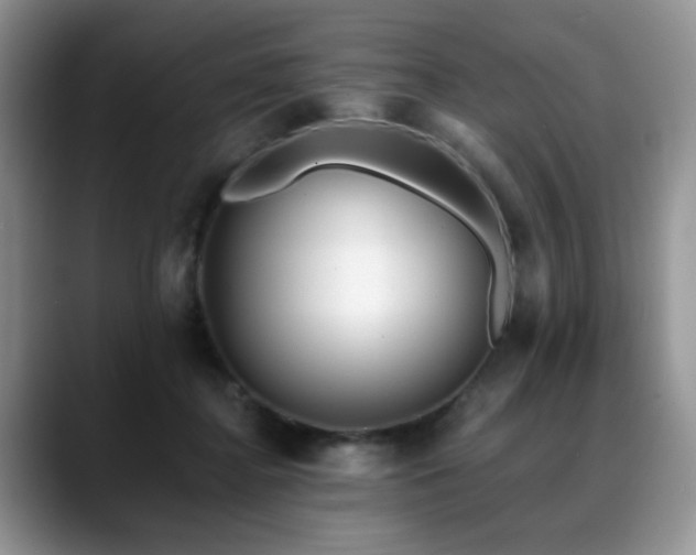 X0000088890364200706081252