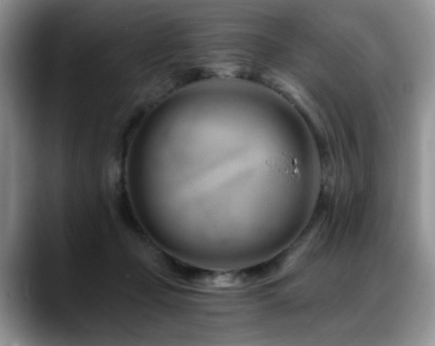 X0000088890365200706081252