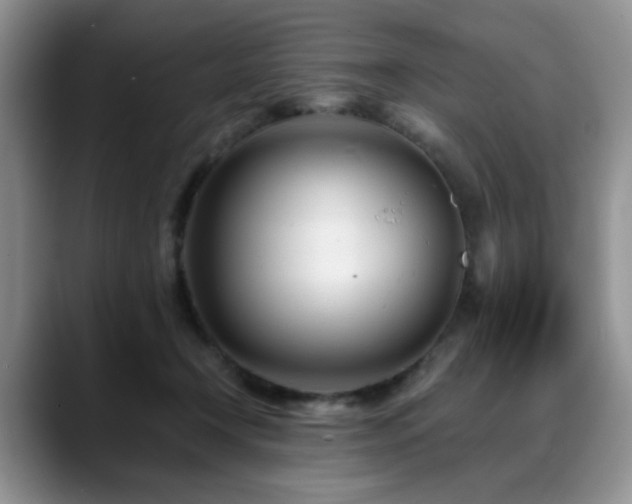 X0000088890366200706081252