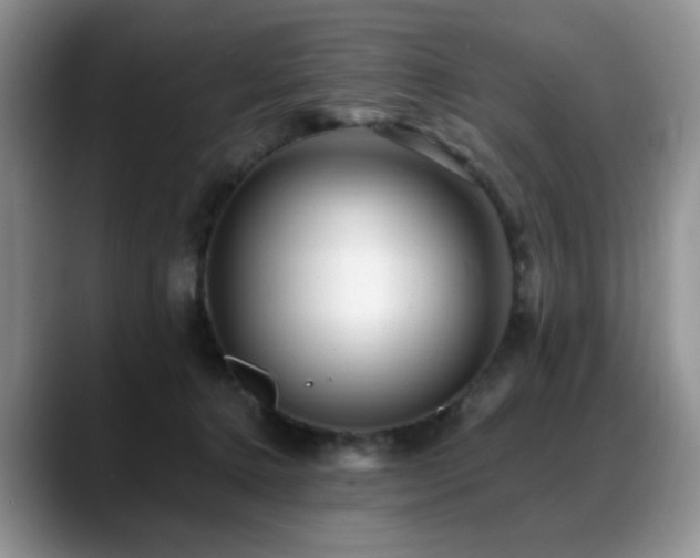 X0000088890368200706081252