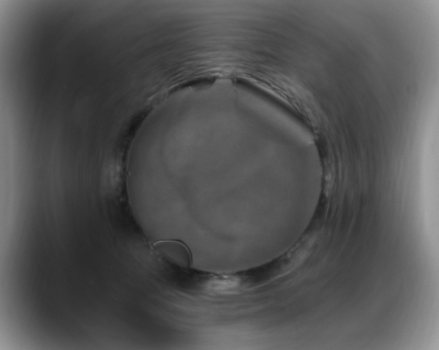 X0000088890369200706081252