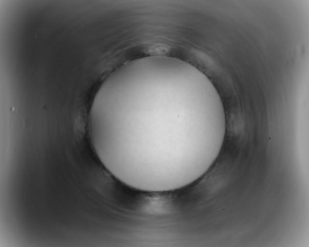 X0000088890370200706081252