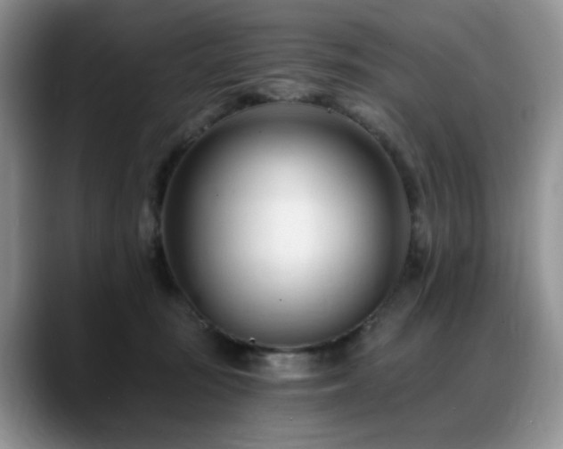 X0000088890371200706081252