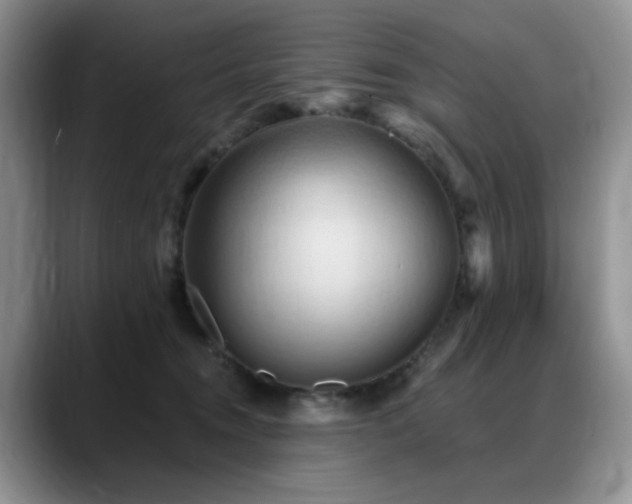 X0000088890372200706081252