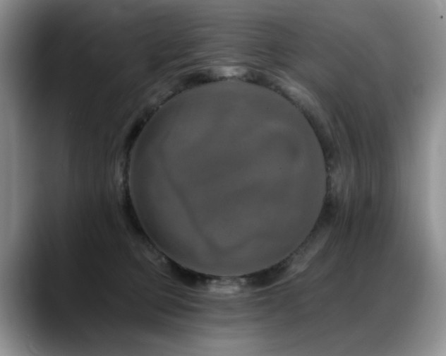 X0000088890373200706081252