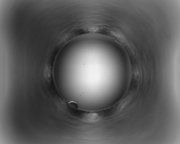 X0000088890374200706081252