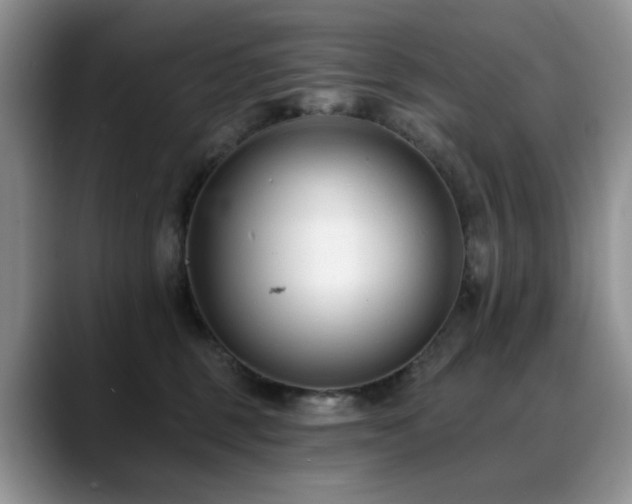 X0000088890375200706081252