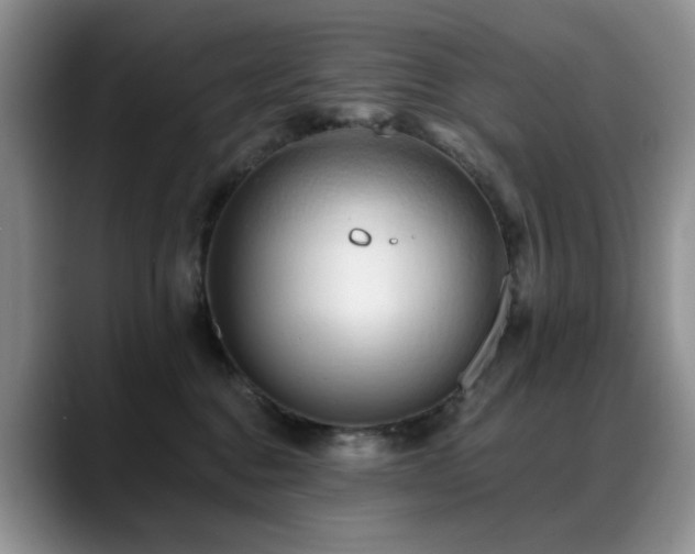 X0000088890376200706081252