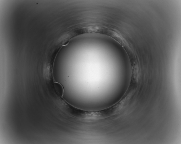 X0000088890378200706081252