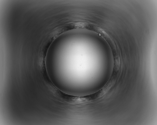 X0000088890379200706081252