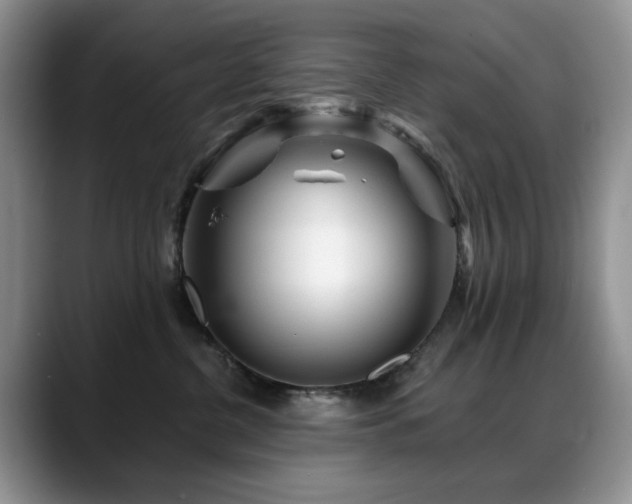 X0000088890380200706081252