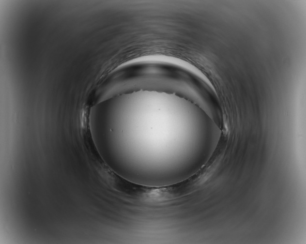 X0000088890382200706081252