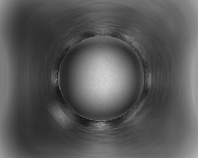 X0000088890383200706081252