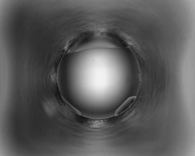 X0000088890384200706081252