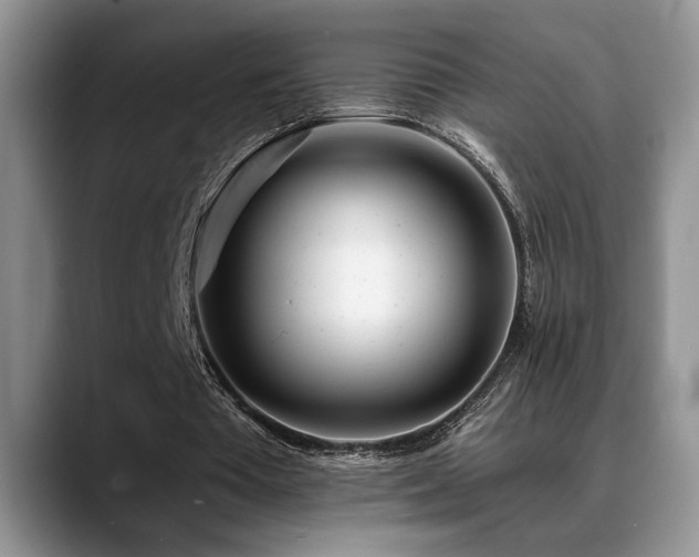 X0000088890385200706081252