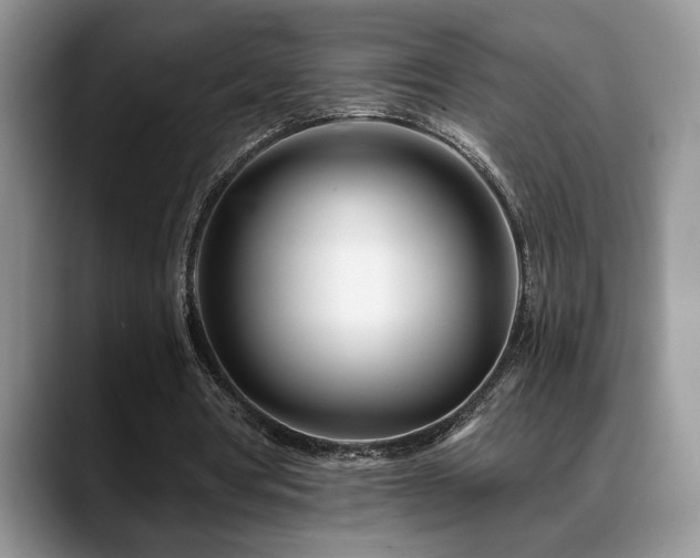 X0000088890386200706081252