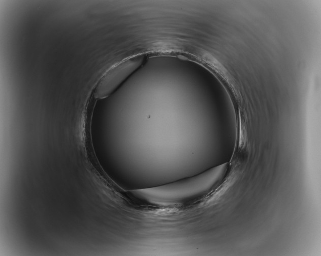 X0000088890387200706081252