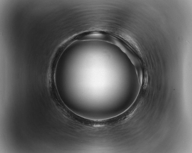 X0000088890388200706081252