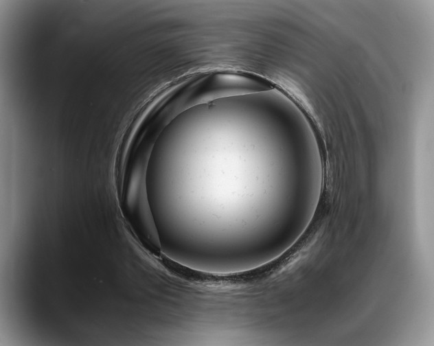 X0000088890389200706081252