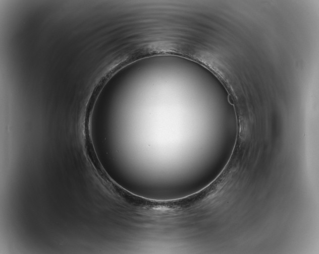 X0000088890390200706081252