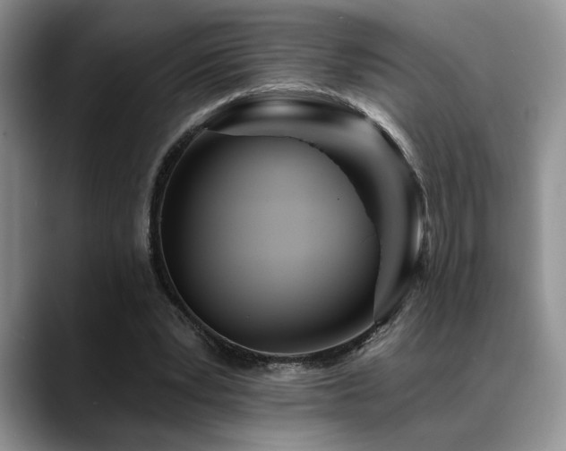 X0000088890391200706081252