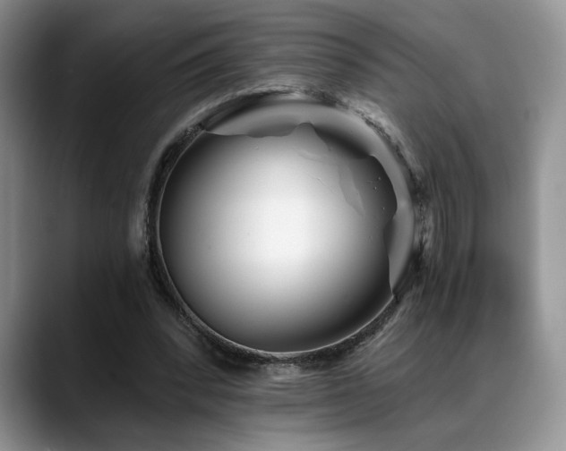 X0000088890392200706081252