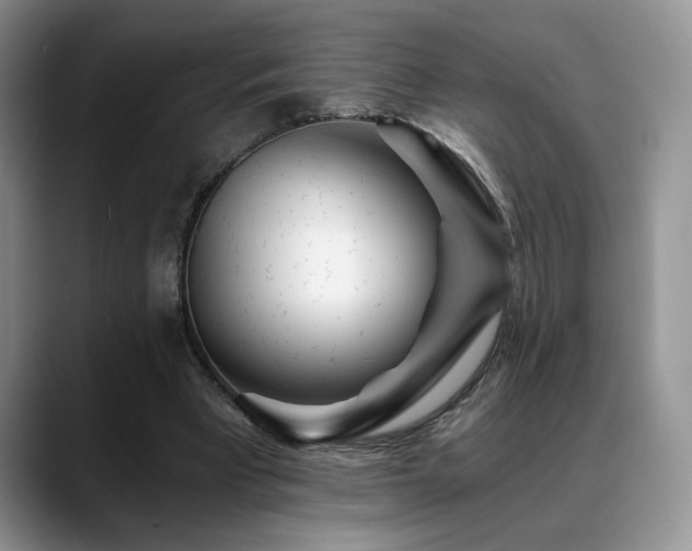 X0000088890393200706081252