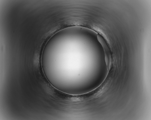 X0000088890394200706081251