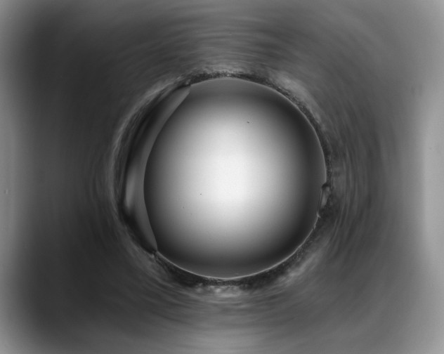 X0000088890395200706081251