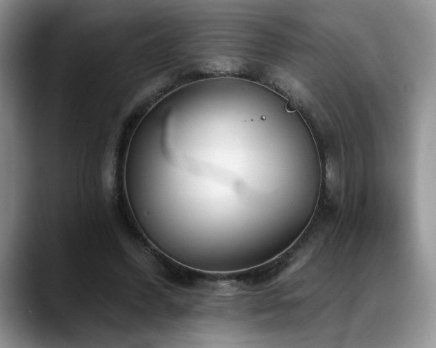 X0000088890396200706081251