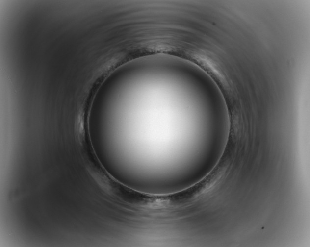 X0000088890398200706081251