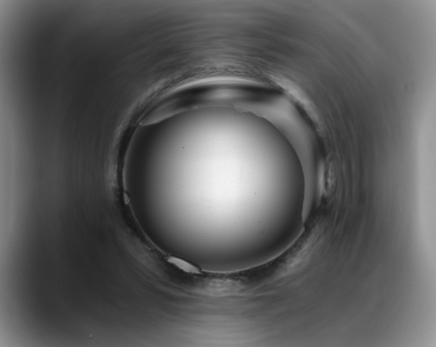 X0000088890399200706081251