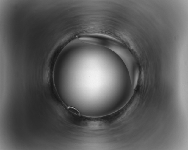 X0000088890400200706081251