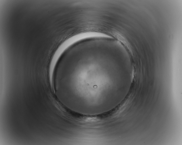 X0000088890401200706081251