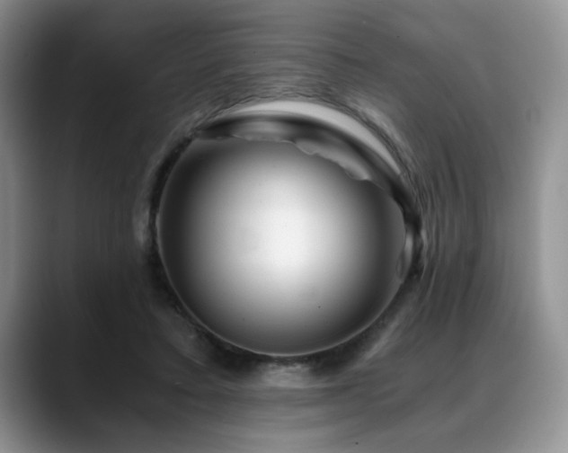 X0000088890403200706081251