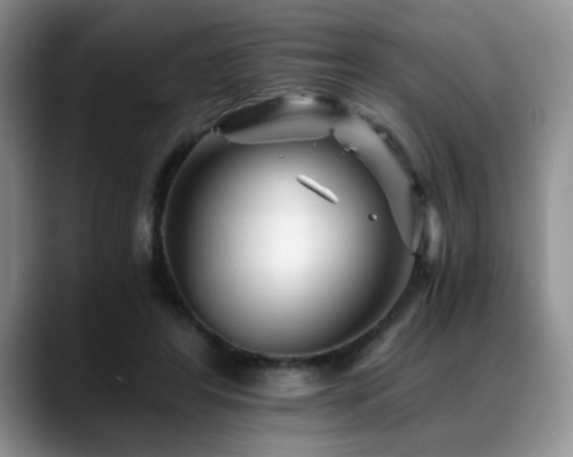 X0000088890404200706081251