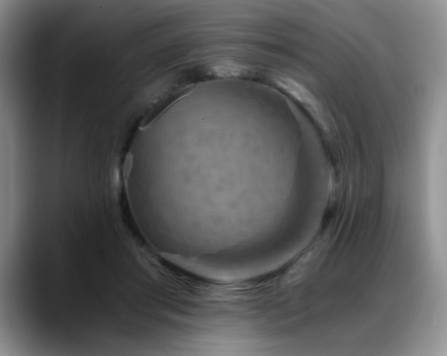 X0000088890405200706081251