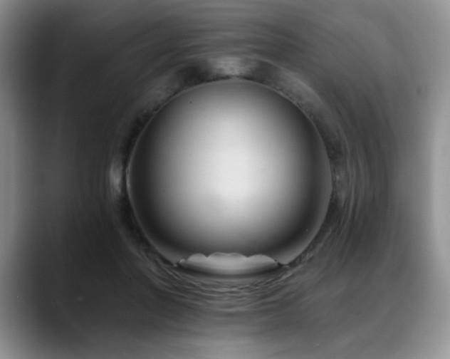 X0000088890406200706081251