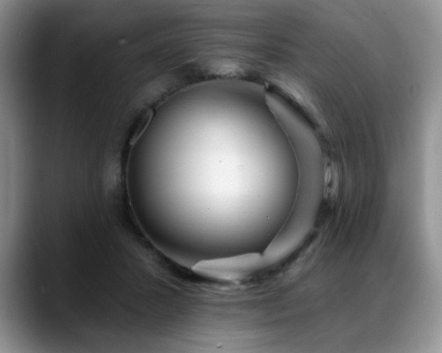 X0000088890407200706081251