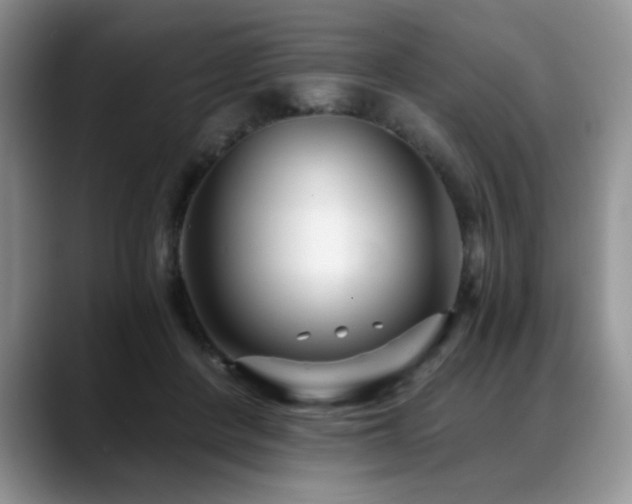 X0000088890408200706081251