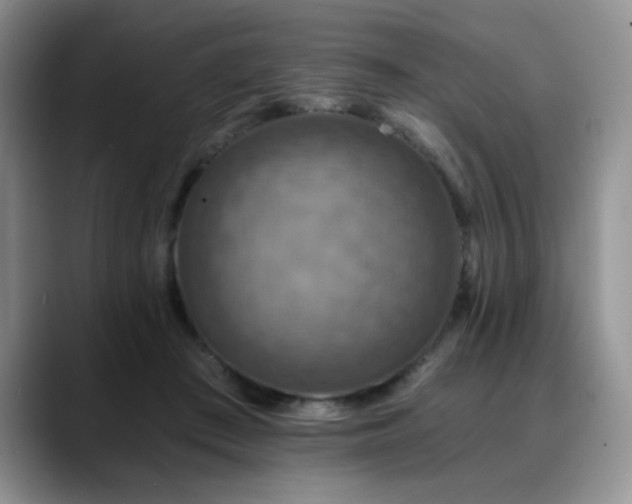 X0000088890409200706081251