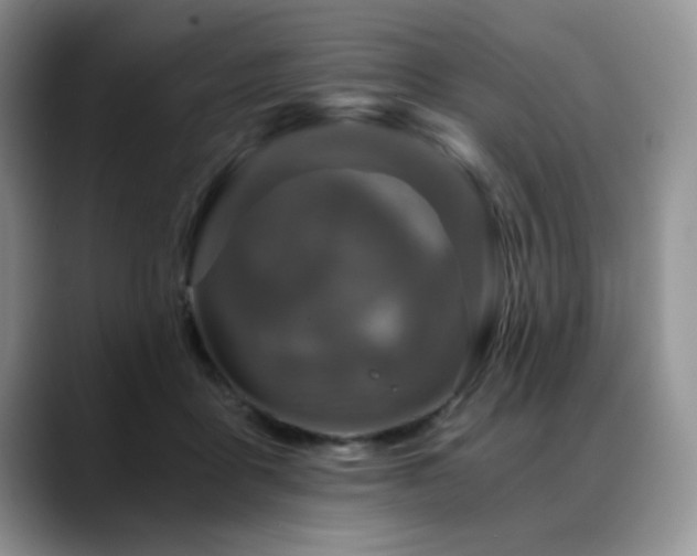 X0000088890411200706081251