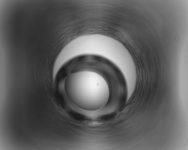 X0000088890412200706081251