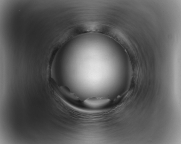 X0000088890413200706081251