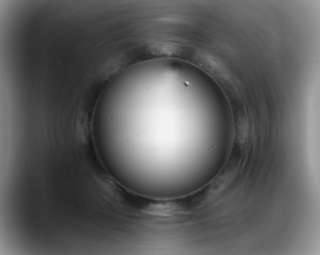 X0000088890414200706081251