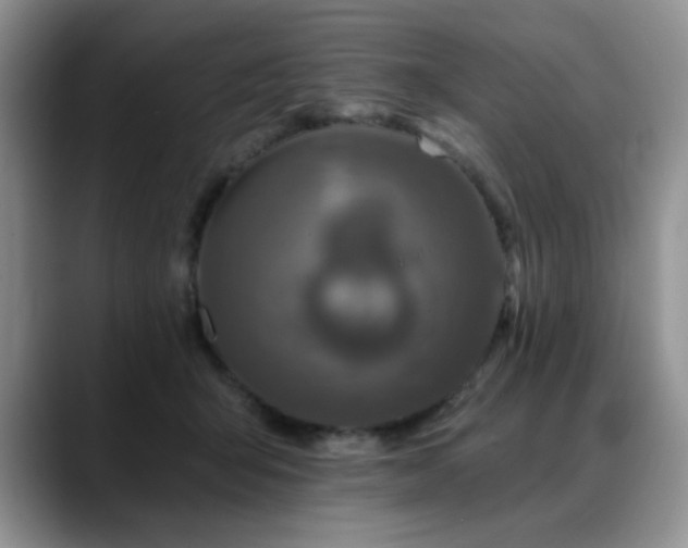 X0000088890415200706081251