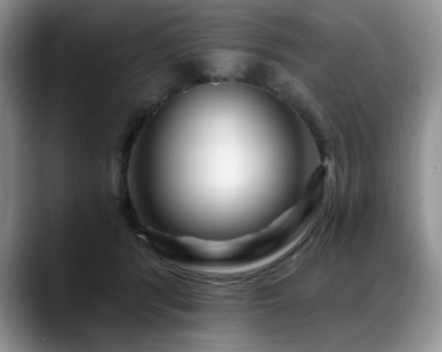 X0000088890416200706081251