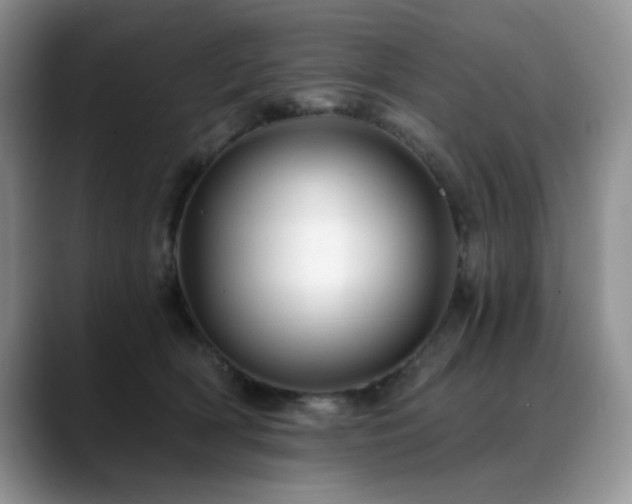 X0000088890418200706081251